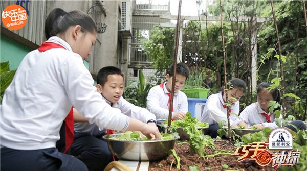 《巧手神探》巧手进校园劳作课 孩子蛋雕表白钟南山