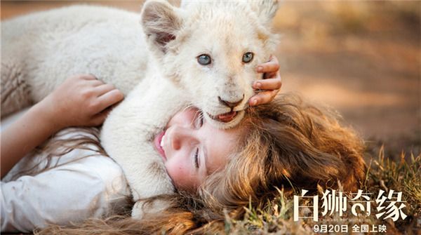 电影《白狮奇缘》携激萌白狮定档9月20日  全真狮出镜专治不服