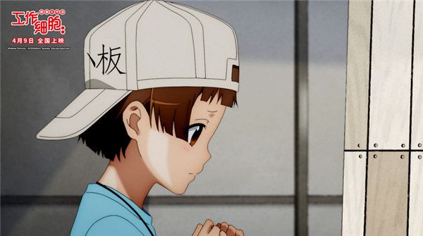 戴反帽血小板暗中努力_副本.jpg