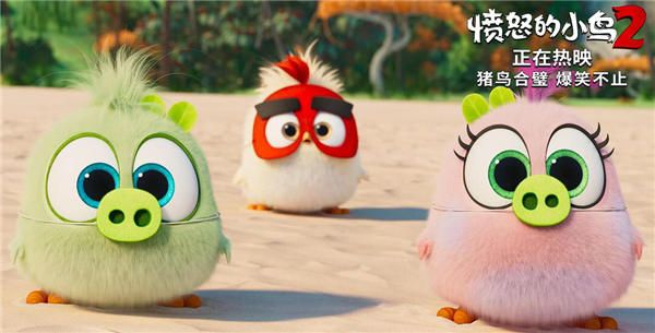 可爱的小小鸟.jpg