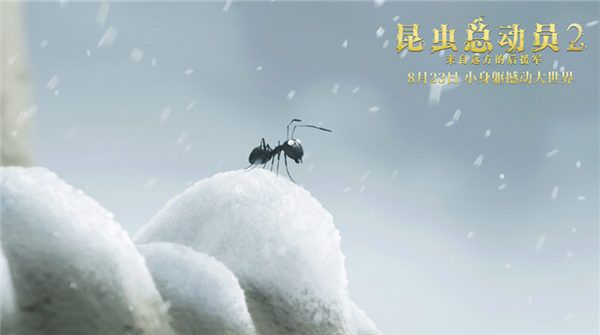 《昆虫总动员2-来自远方的后援军》发布“最佳盟友”版预告 8月23日昆虫梦之队欢乐集结