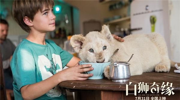 电影《白狮奇缘》今日上映，硬核少女携珍稀猛宠开启2020治愈之旅 