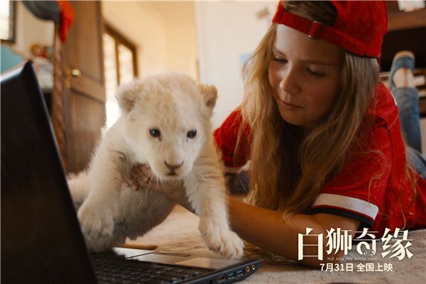 米娅抱起趴在电脑上的小白狮.jpg