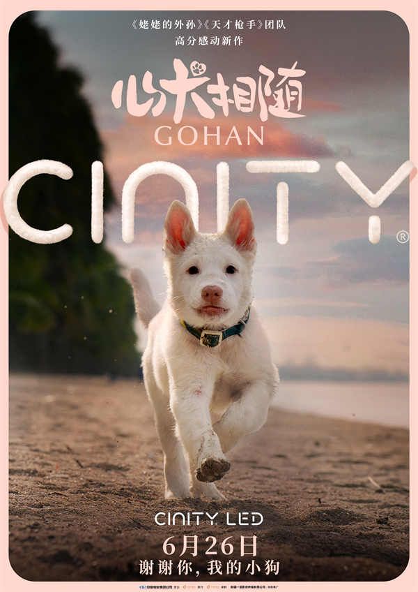 cinity海报.jpg