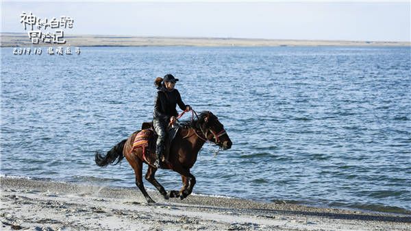 阿勒特警湖边骑马寻找别克.jpg