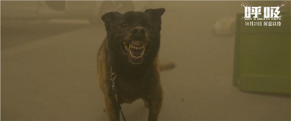 3D灾难电影《呼吸》发布“恶犬袭人”片段 末日跑毒引发生存危机