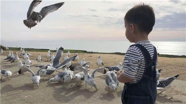 孙茜儿子.jpg