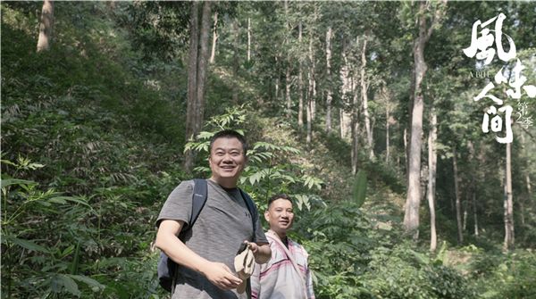 《风味人间》全球播出“统一饭圈” 陈晓卿调侃：欢迎投喂    