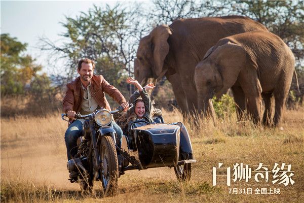 米娅和爸爸驰骋在非洲草原.jpg