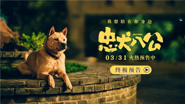 年度重磅情感炸弹《忠犬八公》曝终极预告 真挚感人获观众泪目力赞