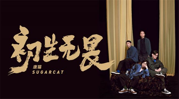 叮！收好这份来自唐猫SUGARCAT的“初生无畏”攻略