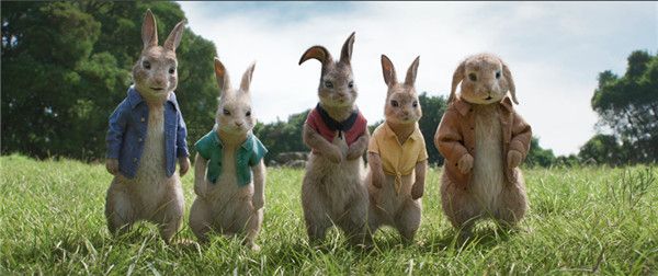 五只兔子.jpg
