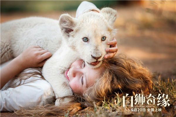 米娅与小白狮查理有爱互动.jpg
