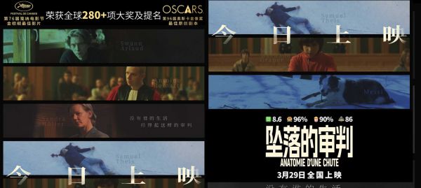 电影《坠落的审判》今日上映 影后桑德拉·惠勒全中文问好尽显诚意
