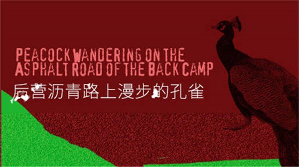 木推瓜发布主打歌《后营沥青路上漫步的孔雀》