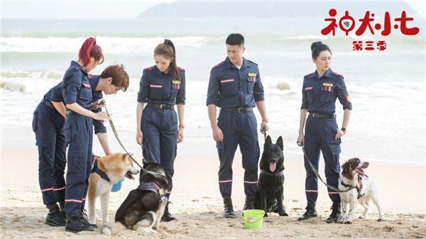 10、《神犬小七3》剧照.jpg
