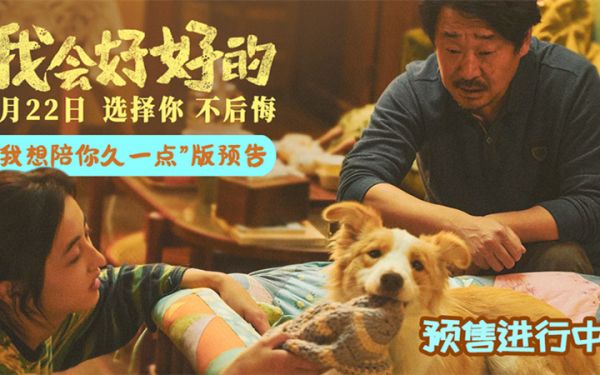 本周末点映！张子枫新片《我会好好的》小狗视角新预告抒发宠物无条件的爱