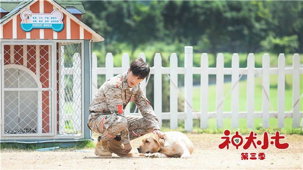 《神犬小七3》小七解除爆炸危机 黑心狗粮事件发酵   