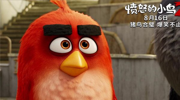 《愤怒的小鸟2》曝“同心协力”版电视预告 816猪鸟“合体”欢乐尬舞