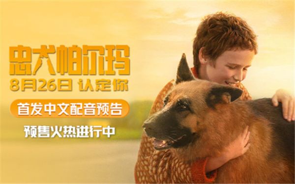 《忠犬帕尔玛》点映收获好评满满 首发中文配音预告开启预售