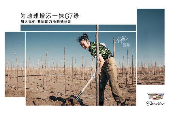 刘雯亲手种植小胡杨为地球增添一抹绿.jpg