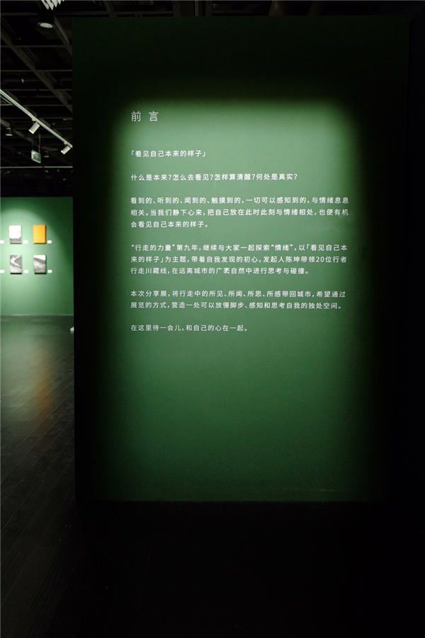 陈坤行走的力量分享展 3.jpg