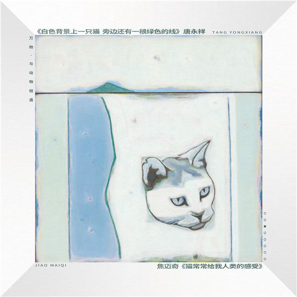 焦迈奇《猫常常给我人类的感受》封面简体4000.jpg