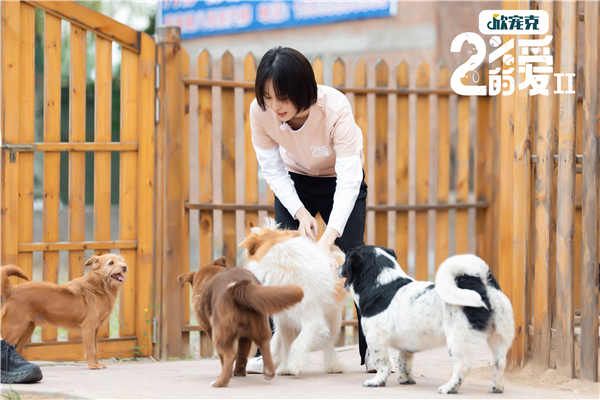 《百分之二的爱2》上星北京卫视 成果用爱守护流浪动物
